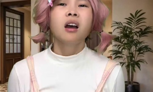 云芝价格贵吗专区_云芝价格表专区_云芝价格网