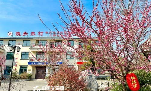 云芝价值多少钱-云芝价格贵吗专区_云芝价格表专区_云芝价格网