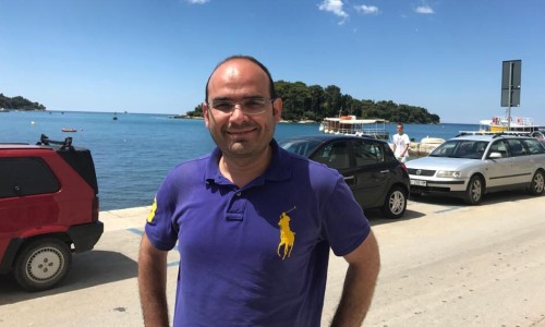 云芝价格表一览表2025年-云芝价格贵吗专区_云芝价格表专区_云芝价格网