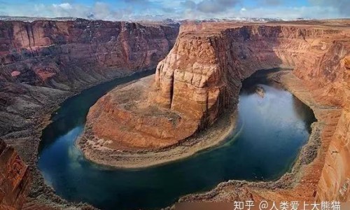 云芝市场价格-云芝价格贵吗专区_云芝价格表专区_云芝价格网