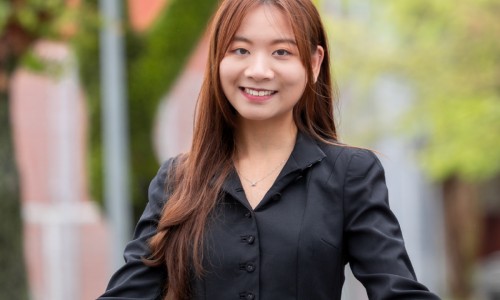 云芝价格贵吗专区_云芝价格表专区_云芝价格网