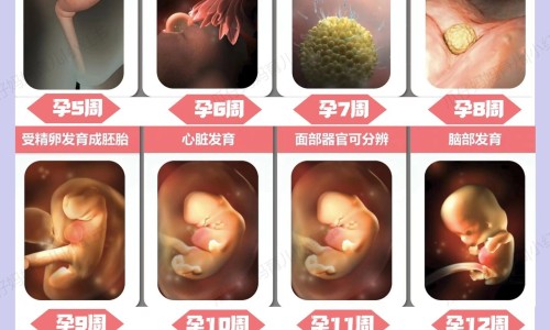 云芝价格贵吗专区_云芝价格表专区_云芝价格网