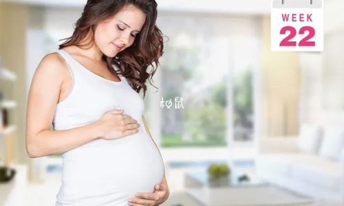云芝价格贵吗专区_云芝价格表专区_云芝价格网