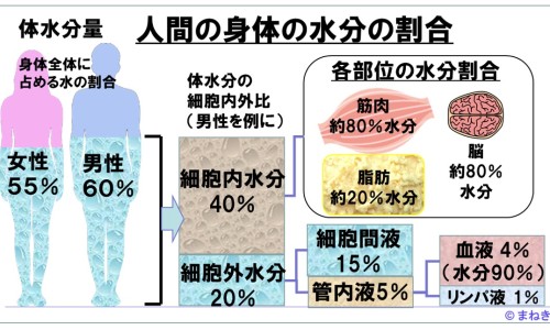云芝市场价格-云芝价格贵吗专区_云芝价格表专区_云芝价格网